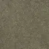 Spice