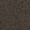 Parvda