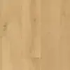 Absolute XL Smooth