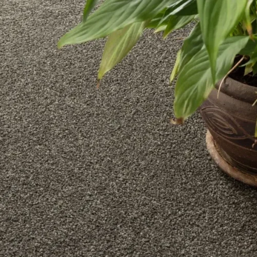 Cromasoft Solution Dyed Nylon - Flooring - Robert Malcolm