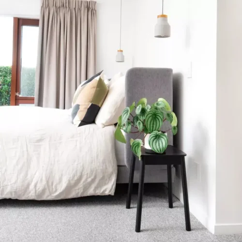 Genesis_Berg_Bedroom_sideshot_1x1