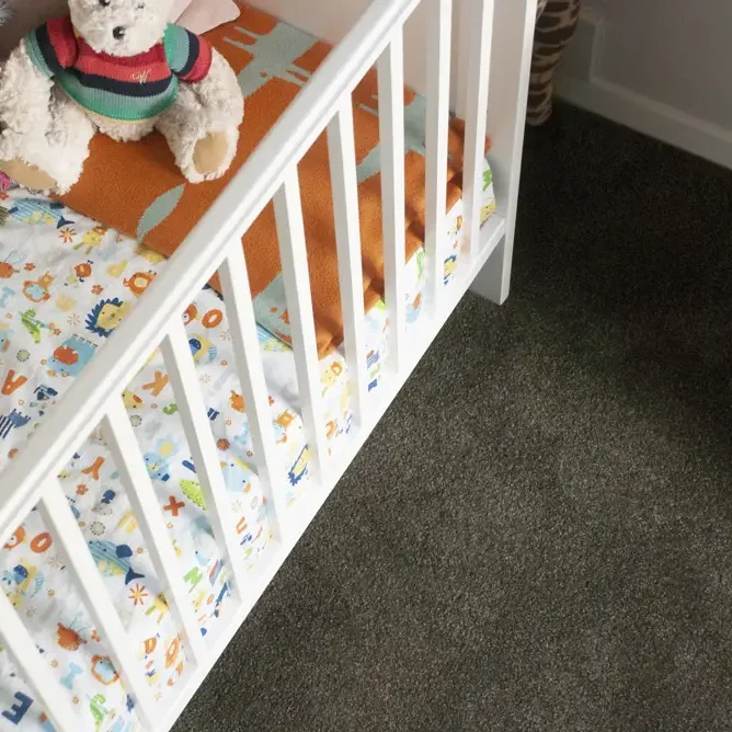 Solution Dyed Nylon Carpet - Belgotex SDN - Flooring