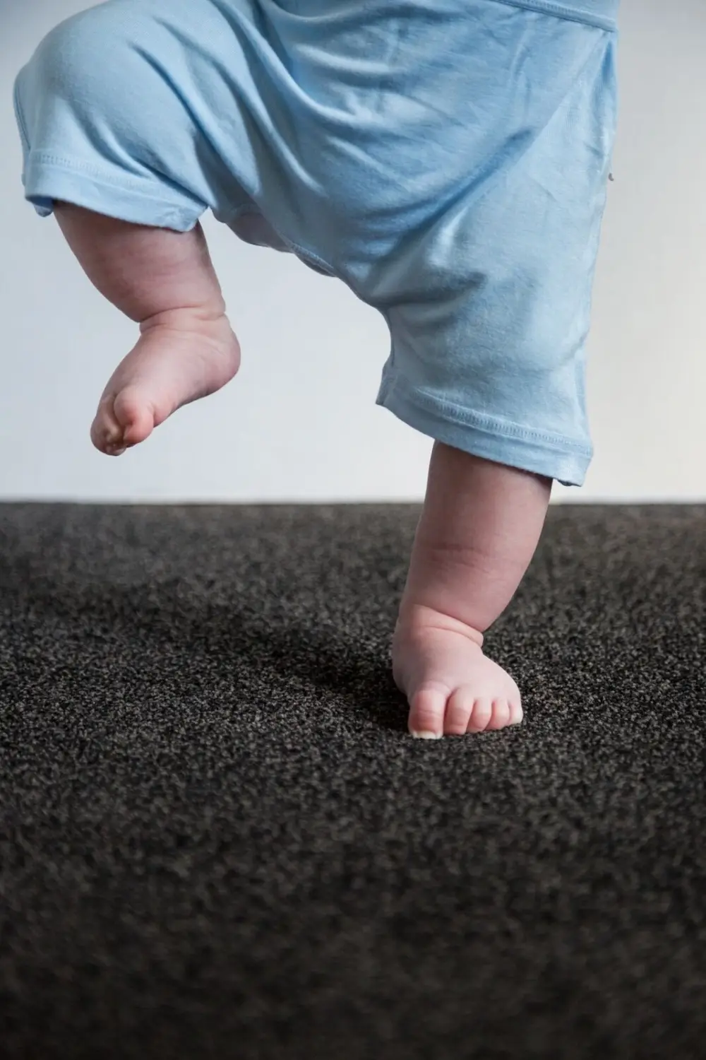 Solution Dyed Nylon Carpet - Robert Malcolm - Flooring - SDN