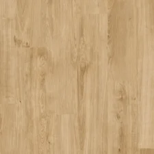 Oasis Wide - Thumbnail Image 7