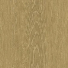 Zenku Creation - Thumbnail Image 8
