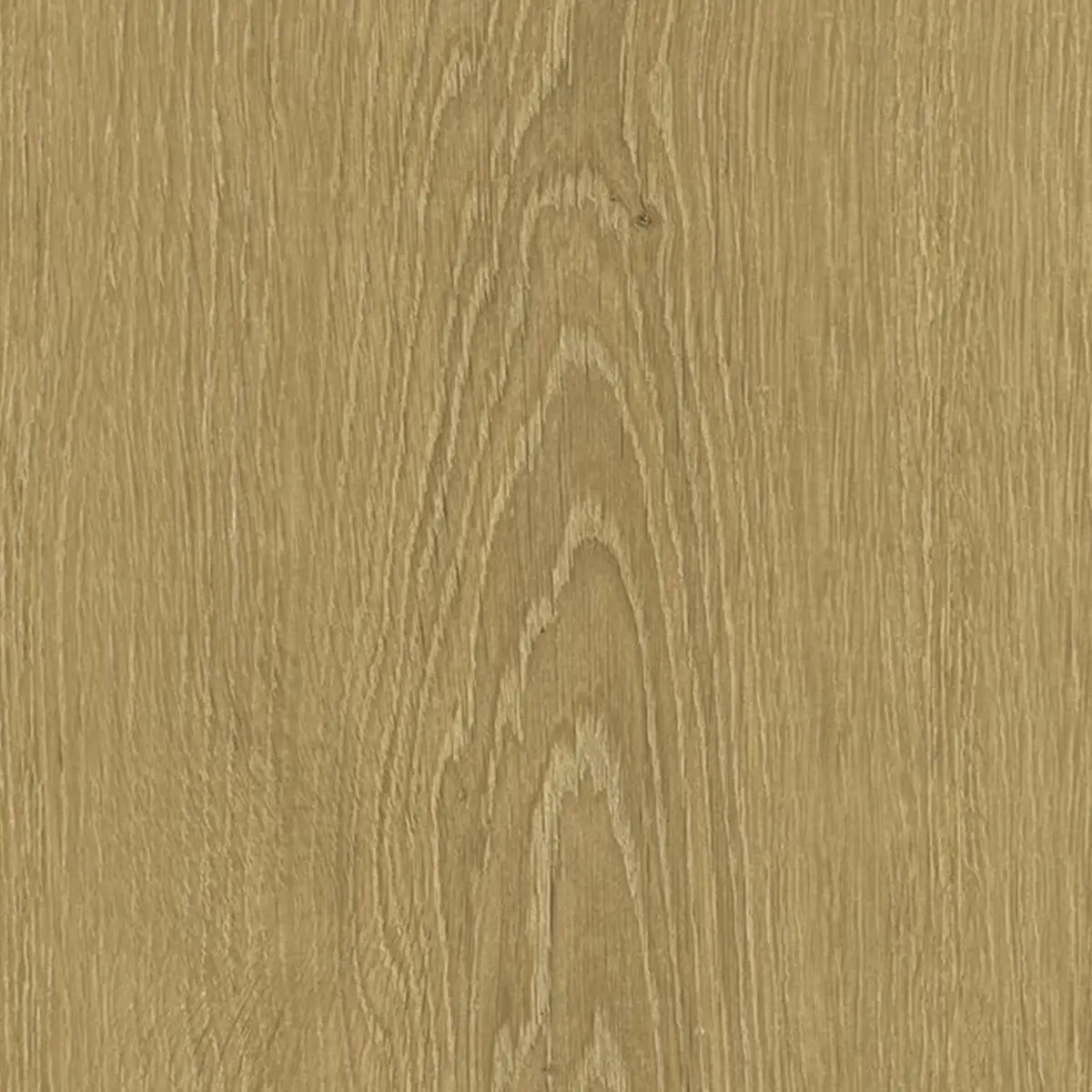 Zenku Creation - Image 8