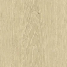 Zenku Creation - Thumbnail Image 7
