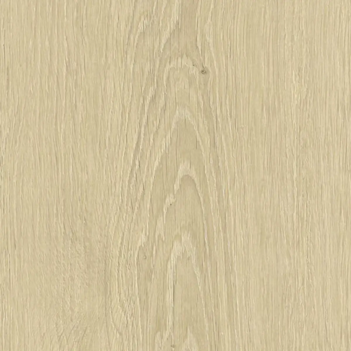Zenku Creation - Image 7