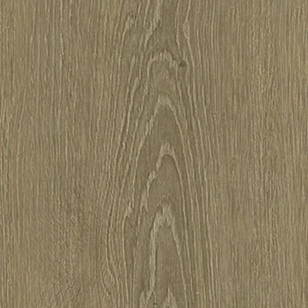 Zenku Creation - Image 6