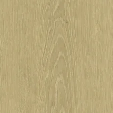 Zenku Creation - Thumbnail Image 5