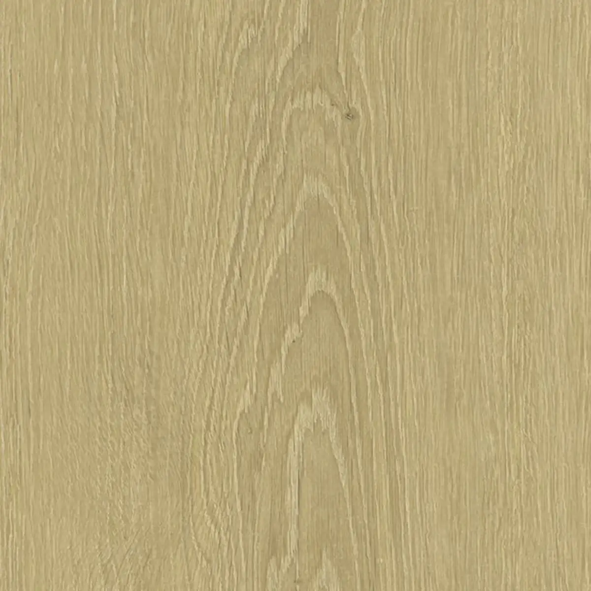 Zenku Creation - Image 5