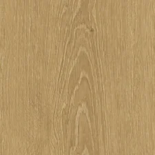 Zenku Creation - Thumbnail Image 3
