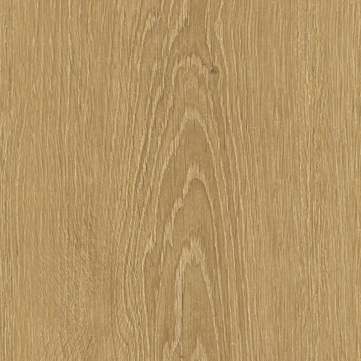 Zenku Creation - Image 3