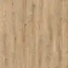 Sandfly