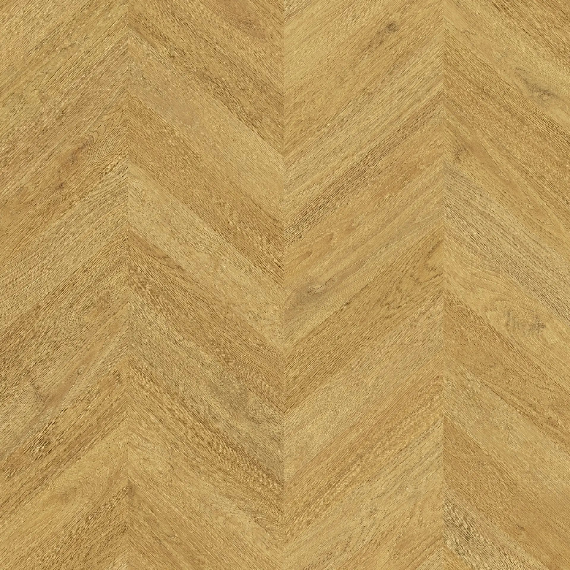 Zenku Artec - Image 2