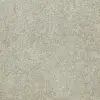 Barley
