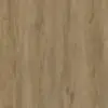 Desert Oak