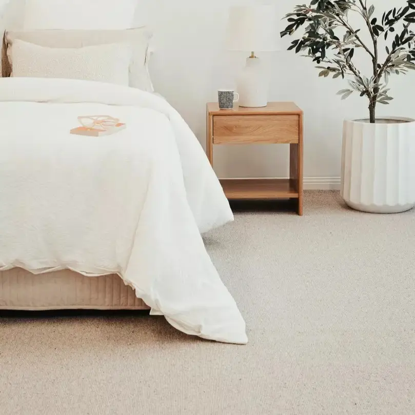 Hause_Jocobsens-Carpet