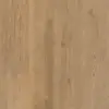 Kauri