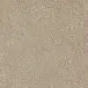 Warm Neutral