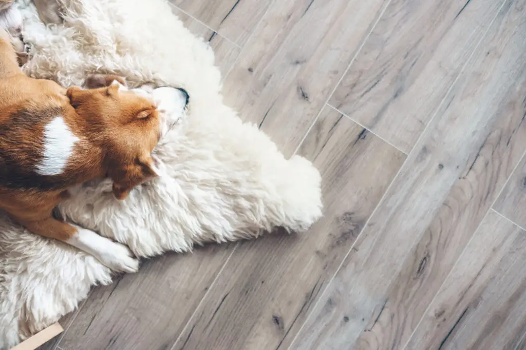 free measure & quote Flooring Design, Carpet, Laminate, Timber, Vinyl, residential, and commercial.